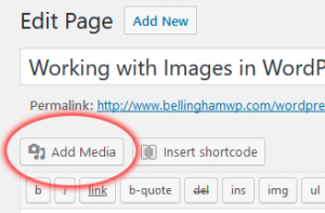 WordPress Images: Add Media From Page or Post